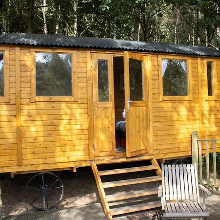 Pike'S Cabin In The Woods Hebden Bridge Kültér fotó